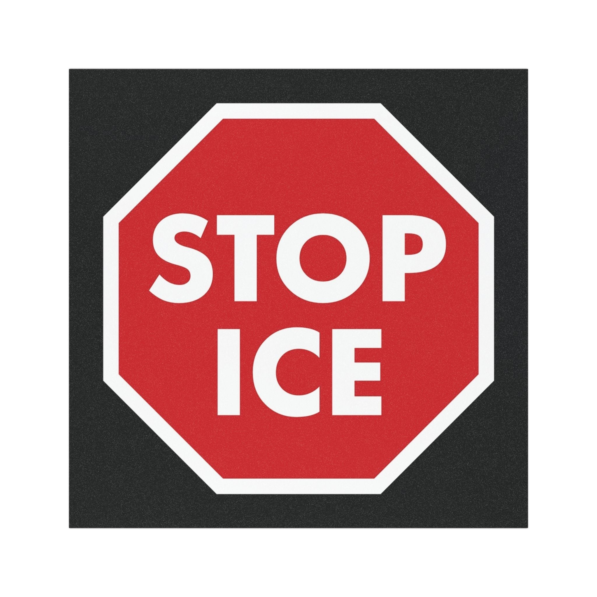 Anti-ICE Magnet - Stop ICE Car Magnet