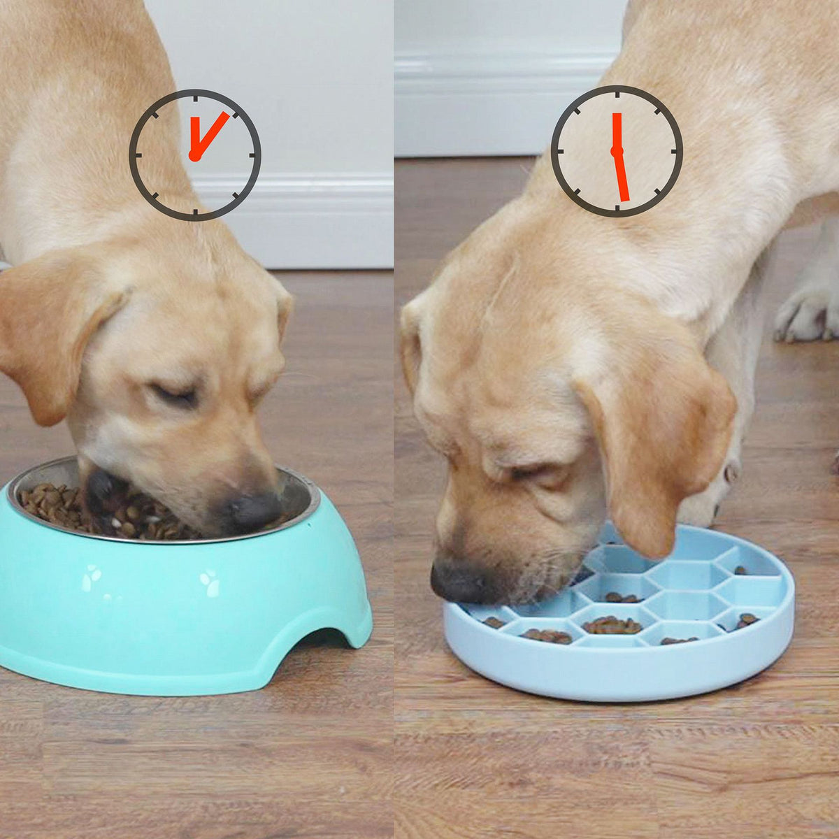 HiveCalm Honeycomb Silicone Slow Feeder