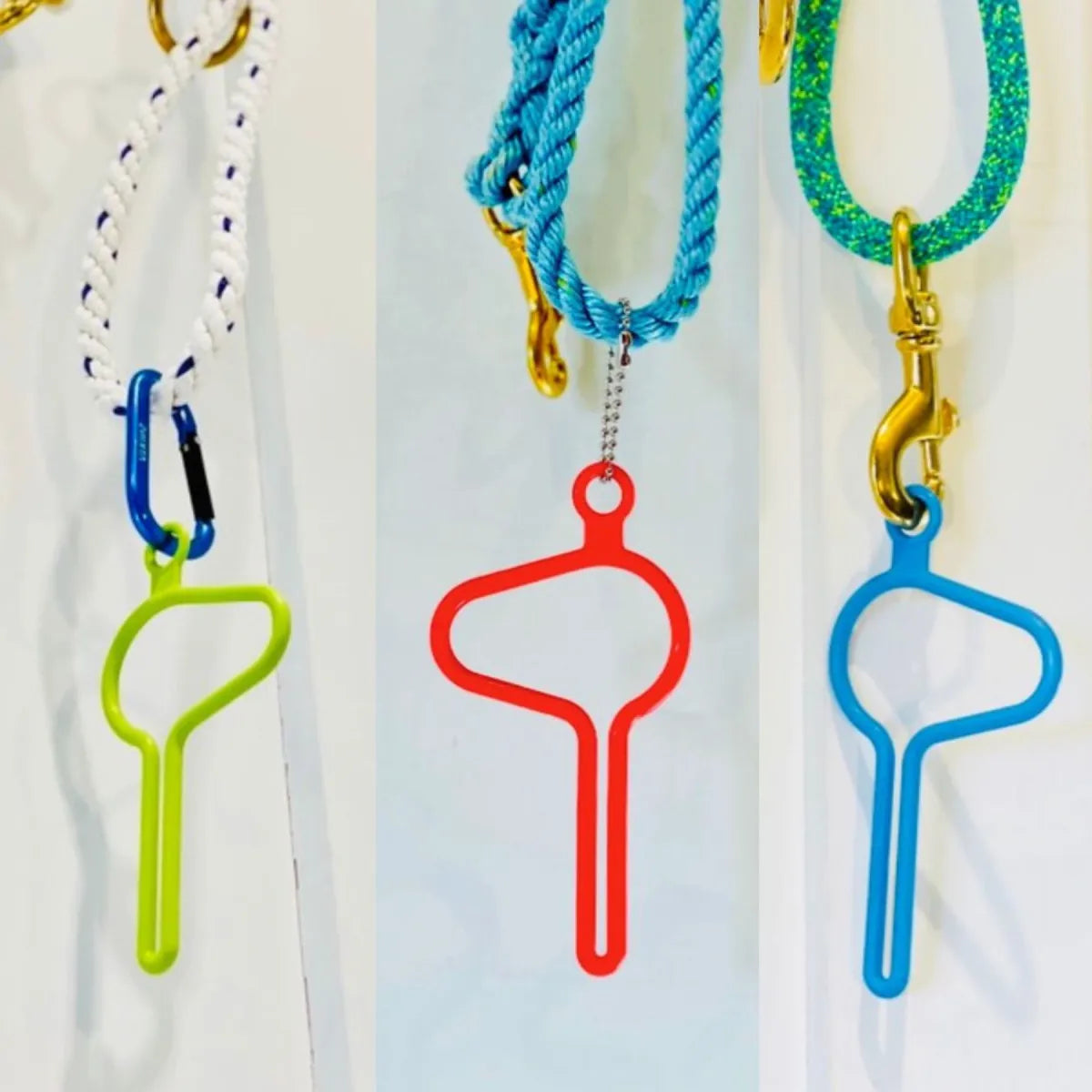 the original dooloop