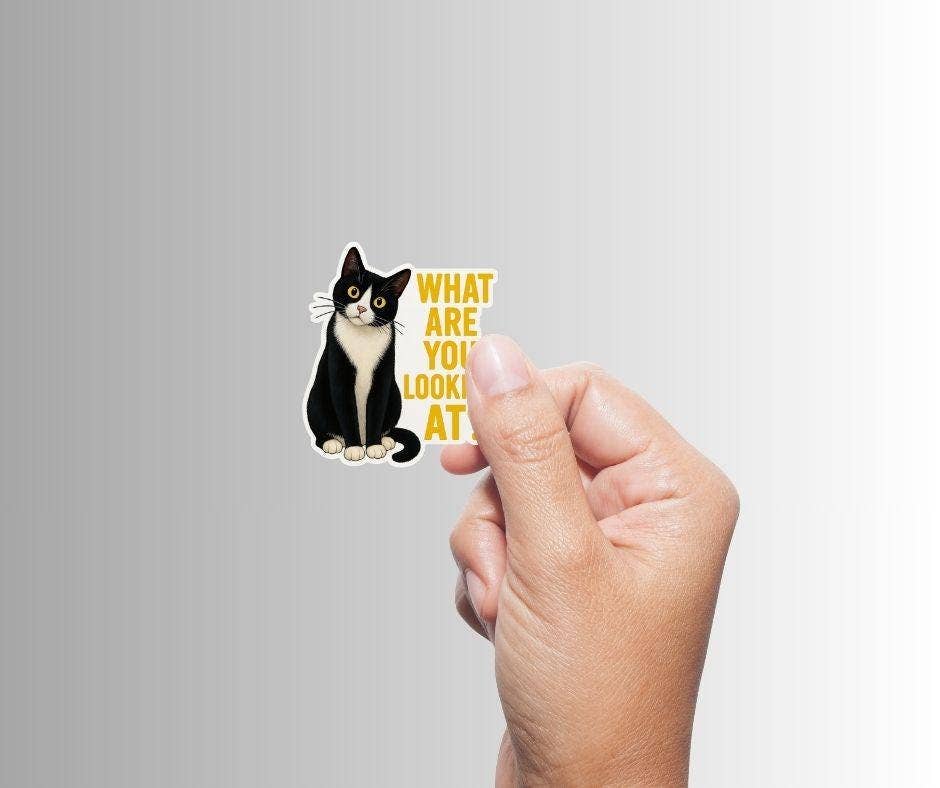 What Are You Looking At? Sticker | Funny Tuxedo Cat Vinyl Sticker
