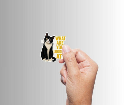 What Are You Looking At? Sticker | Funny Tuxedo Cat Vinyl Sticker