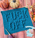 Fuck Off Dishcloth (Crochet Version)