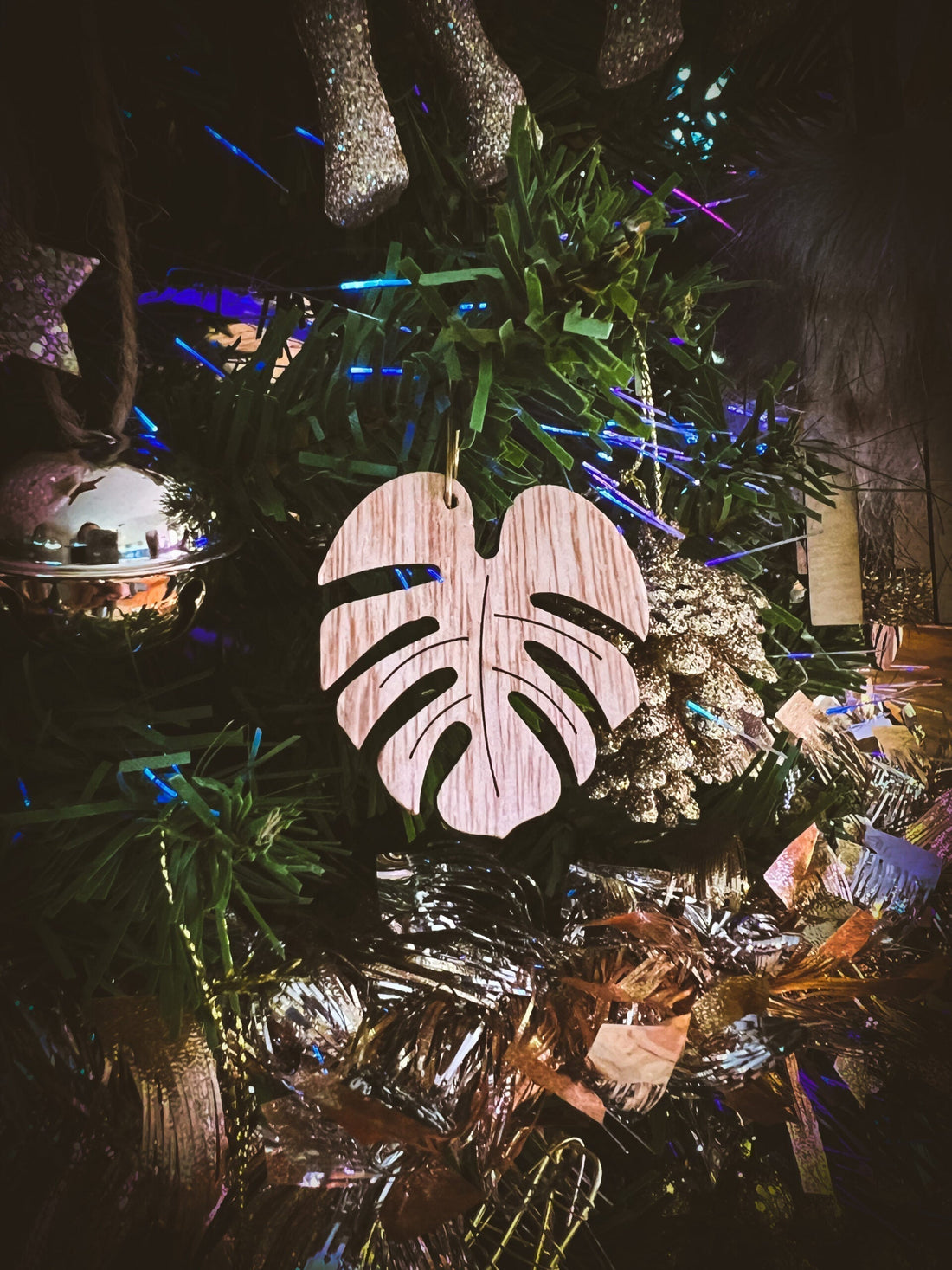 Holiday Ornament - 2022