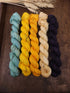 Midwest Sunrise Mini Skein Set
