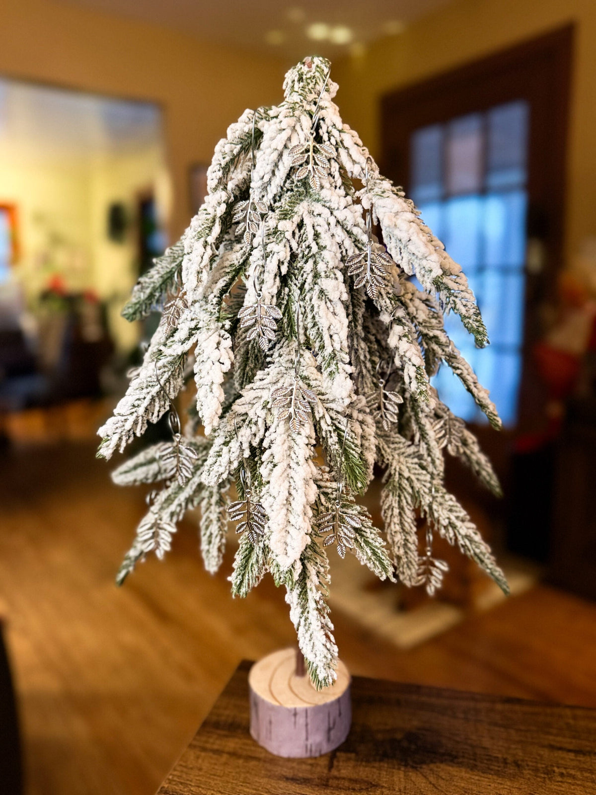 Ornament - 2025