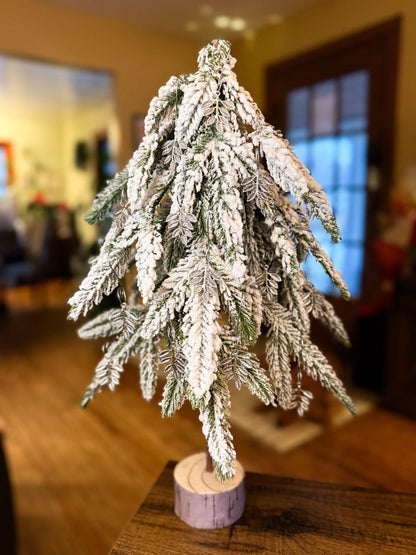 Ornament - 2025