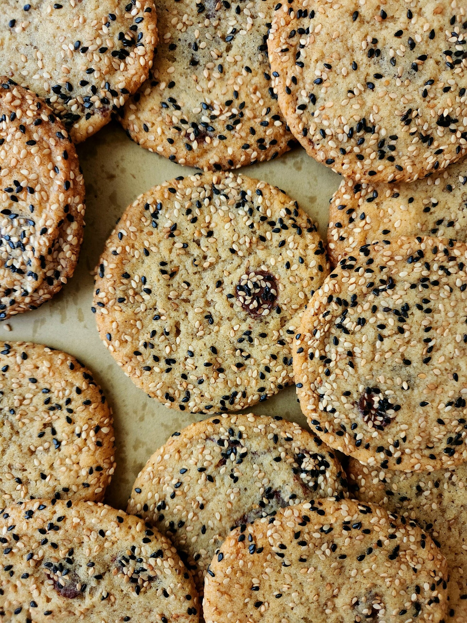 Sesame Tahini cookie with dark chocolate and sea salt - 1 dozen