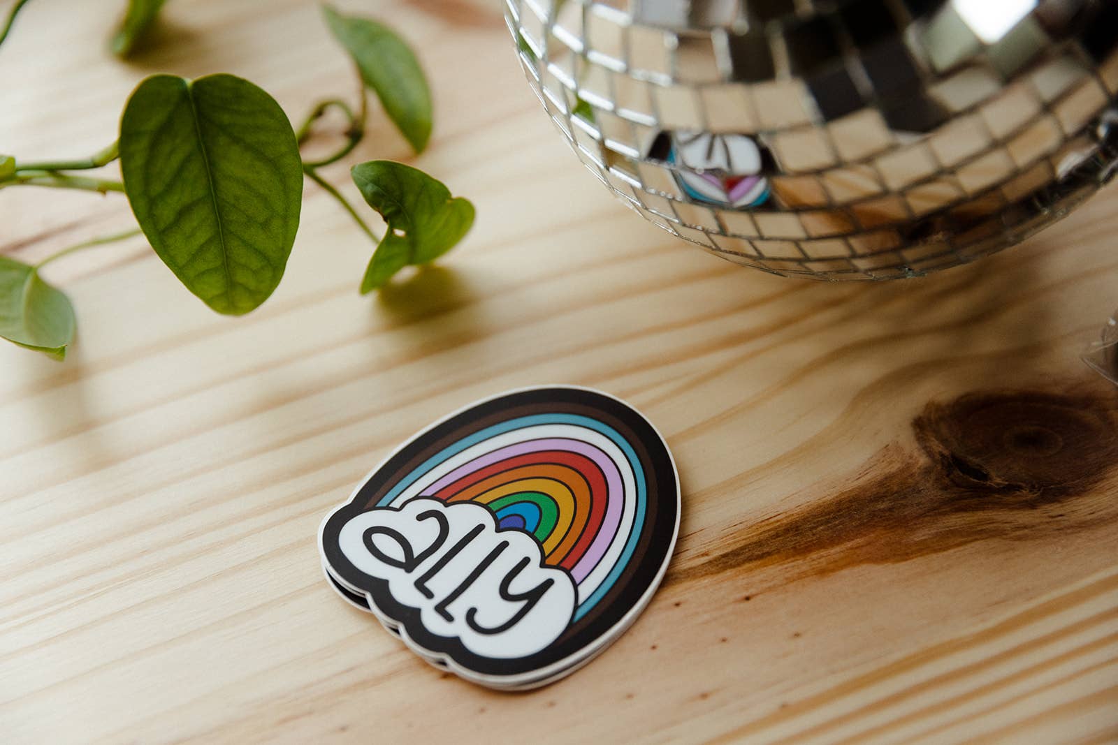Sticker with rainbow design and text on a wooden surface with a disco ball and plant.