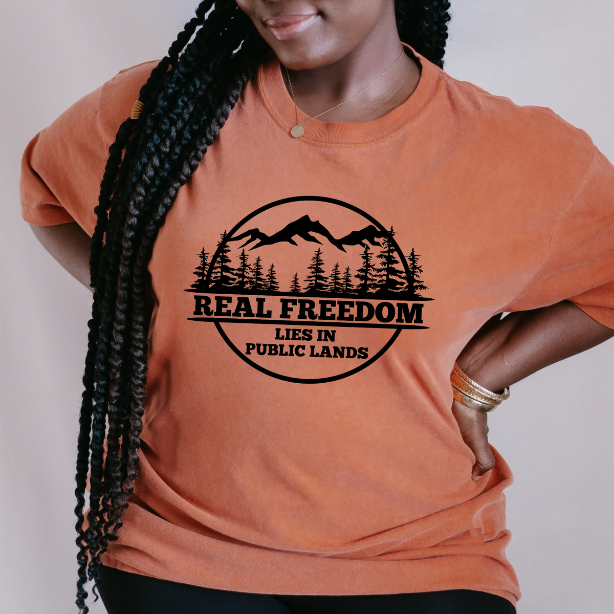 Public Lands Shirt, Environmental Activist Tshirt, Save National Parks