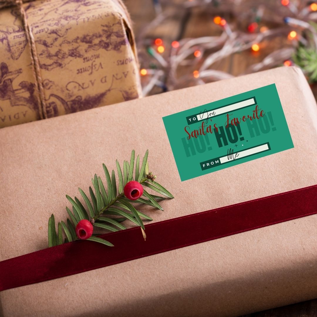 Printable Christmas Present Gift Tags Funny Inappropriate Snarky PDF