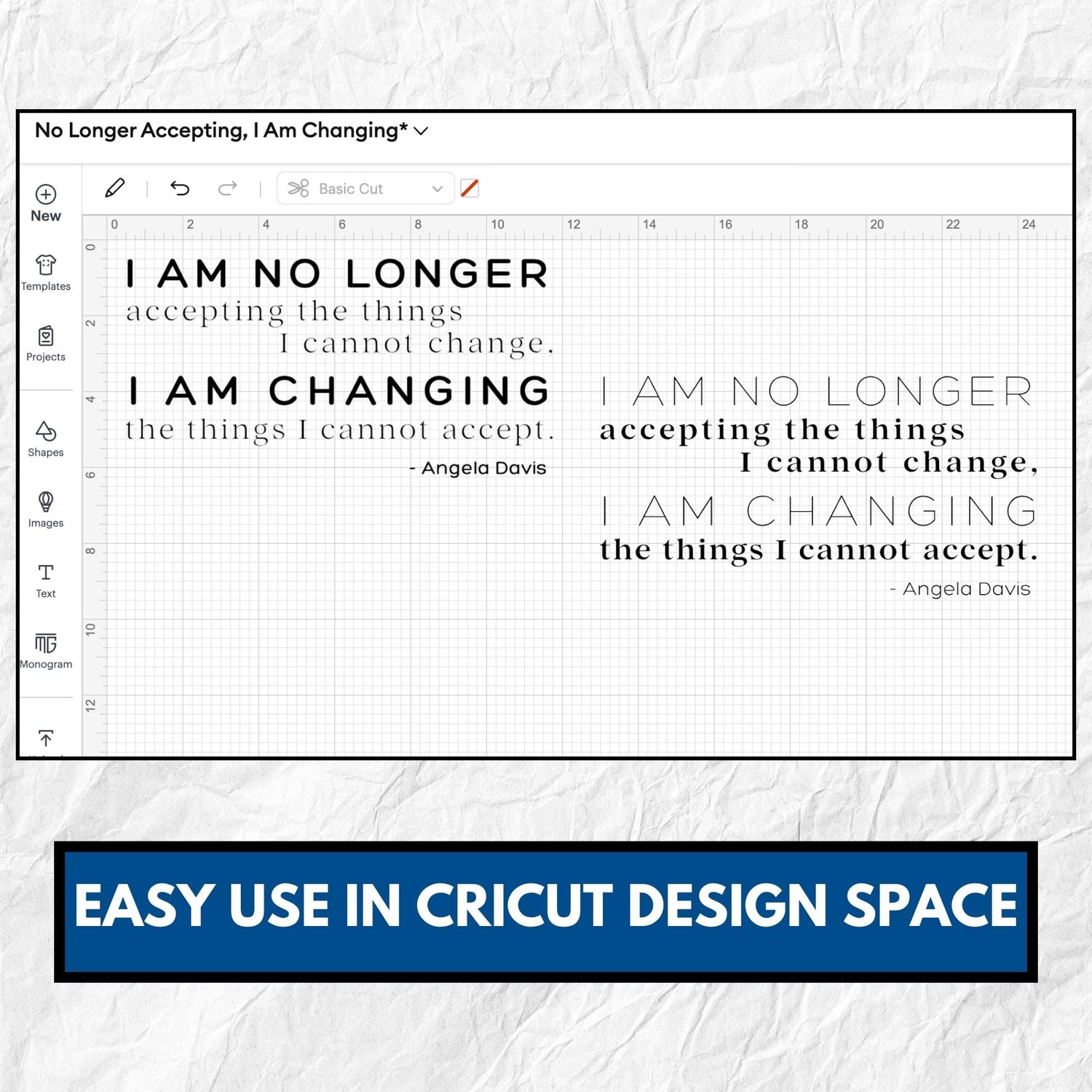 Angela Davis Quote Clipart Bundle | Be the Change Political Activism (Digital Download)