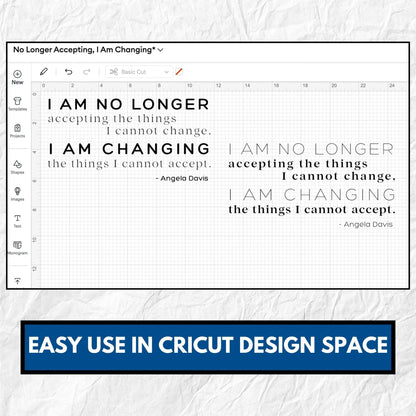Angela Davis Quote Clipart Bundle | Be the Change Political Activism (Digital Download)