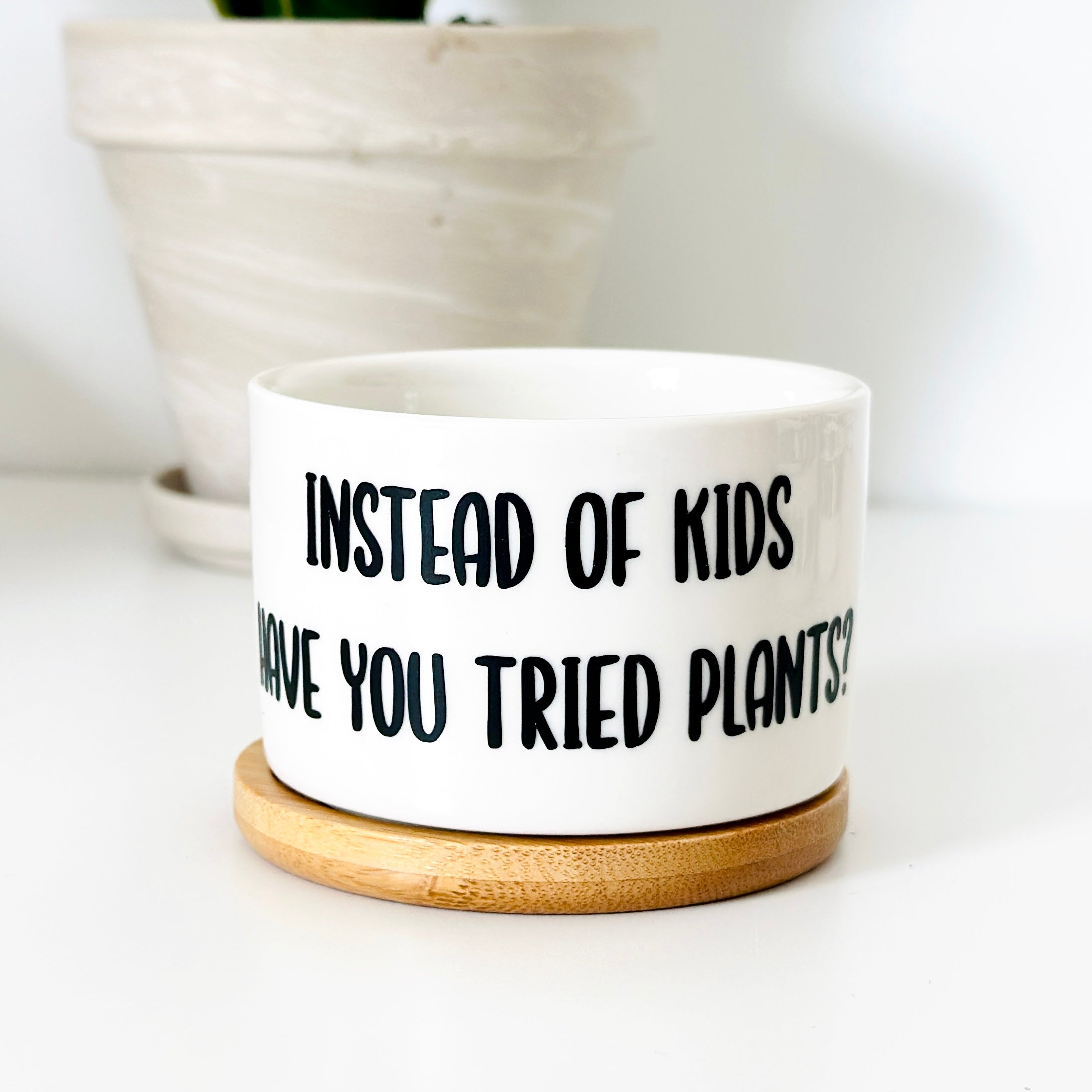 Funny, Cute and Sarcastic Mini Planters
