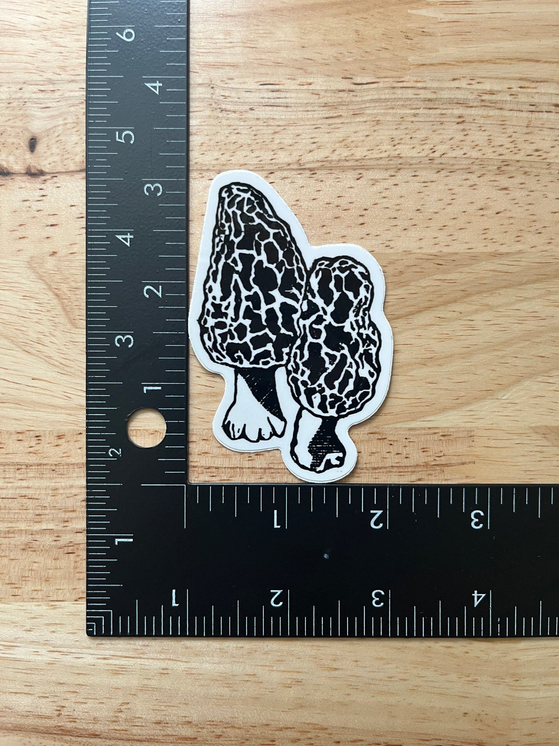 Morel Mushrooms Sticker - weatherproof adhesive, UV protective laminate