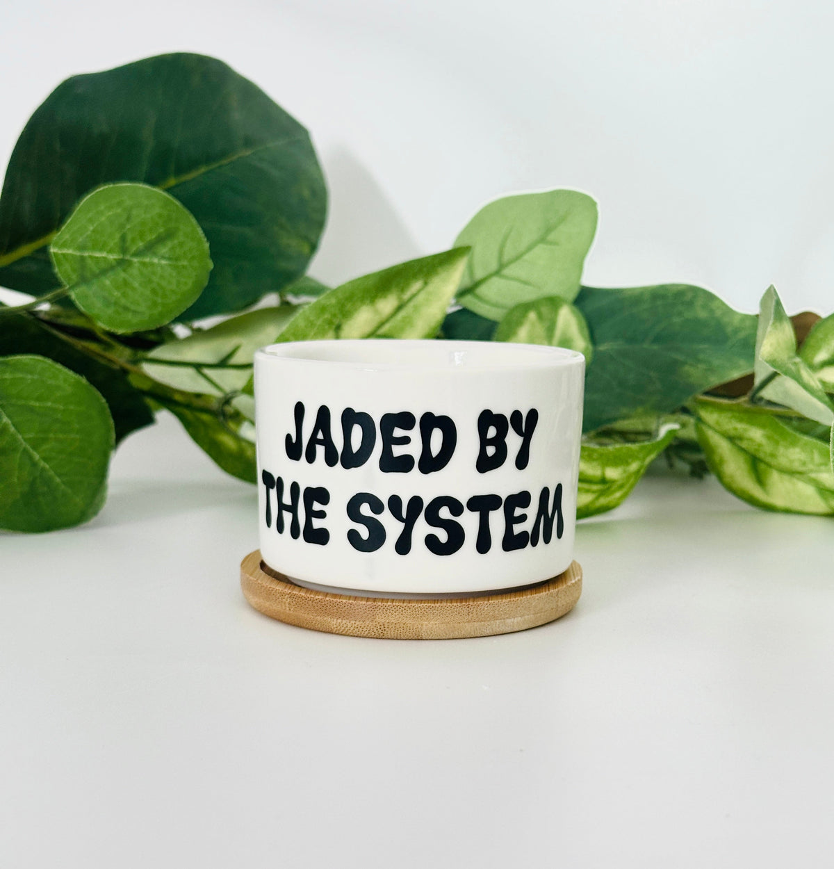 Funny, Cute and Sarcastic Mini Planters