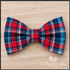 Cranberry Kisses Bow Tie