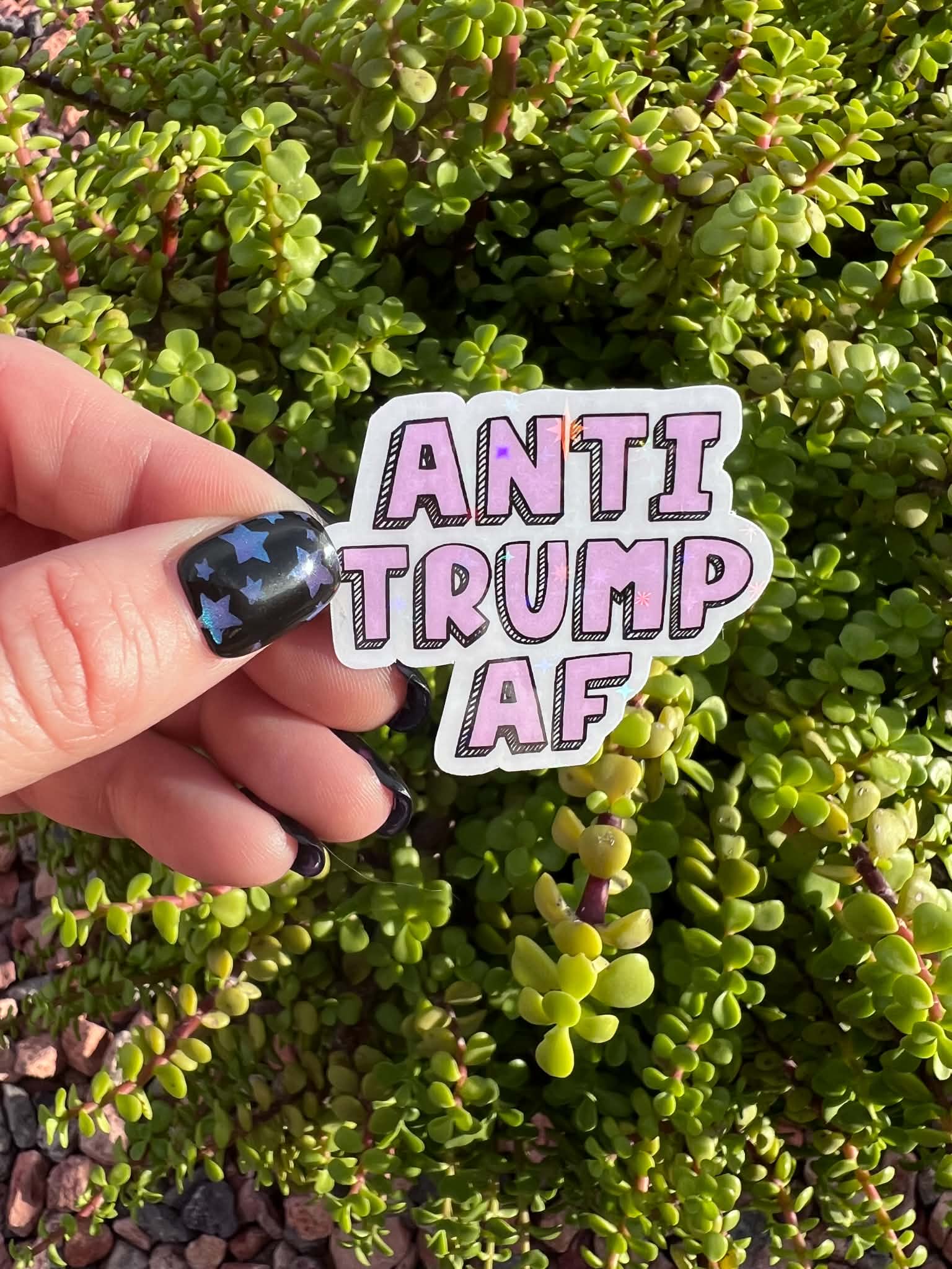 Anti-Trump Sticker Bundle | Political Protest Sticker Pack | 7 Surprise Stickers or Full 14 Piece Resistance Set