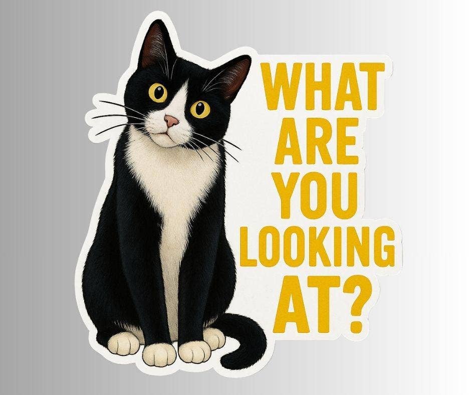 Sticker of a black and white cat with text &