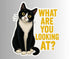 Sticker of a black and white cat with text &