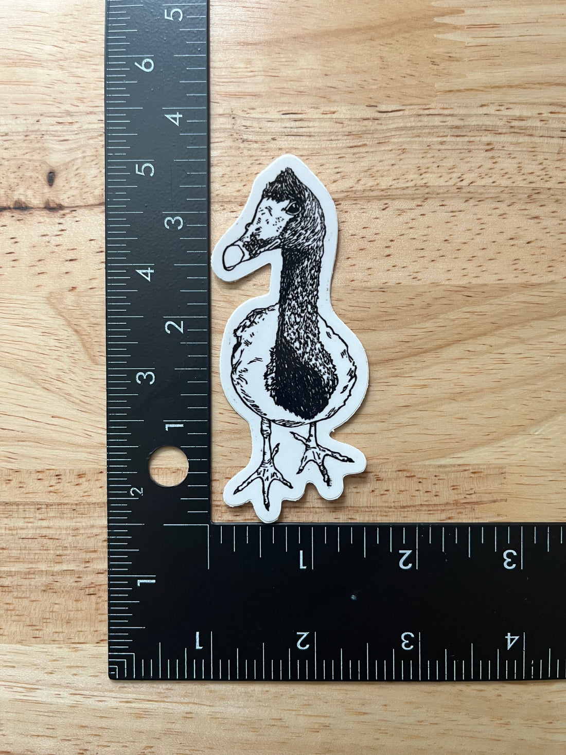 Magpie Goose Sticker - weatherproof adhesive, UV protective laminate