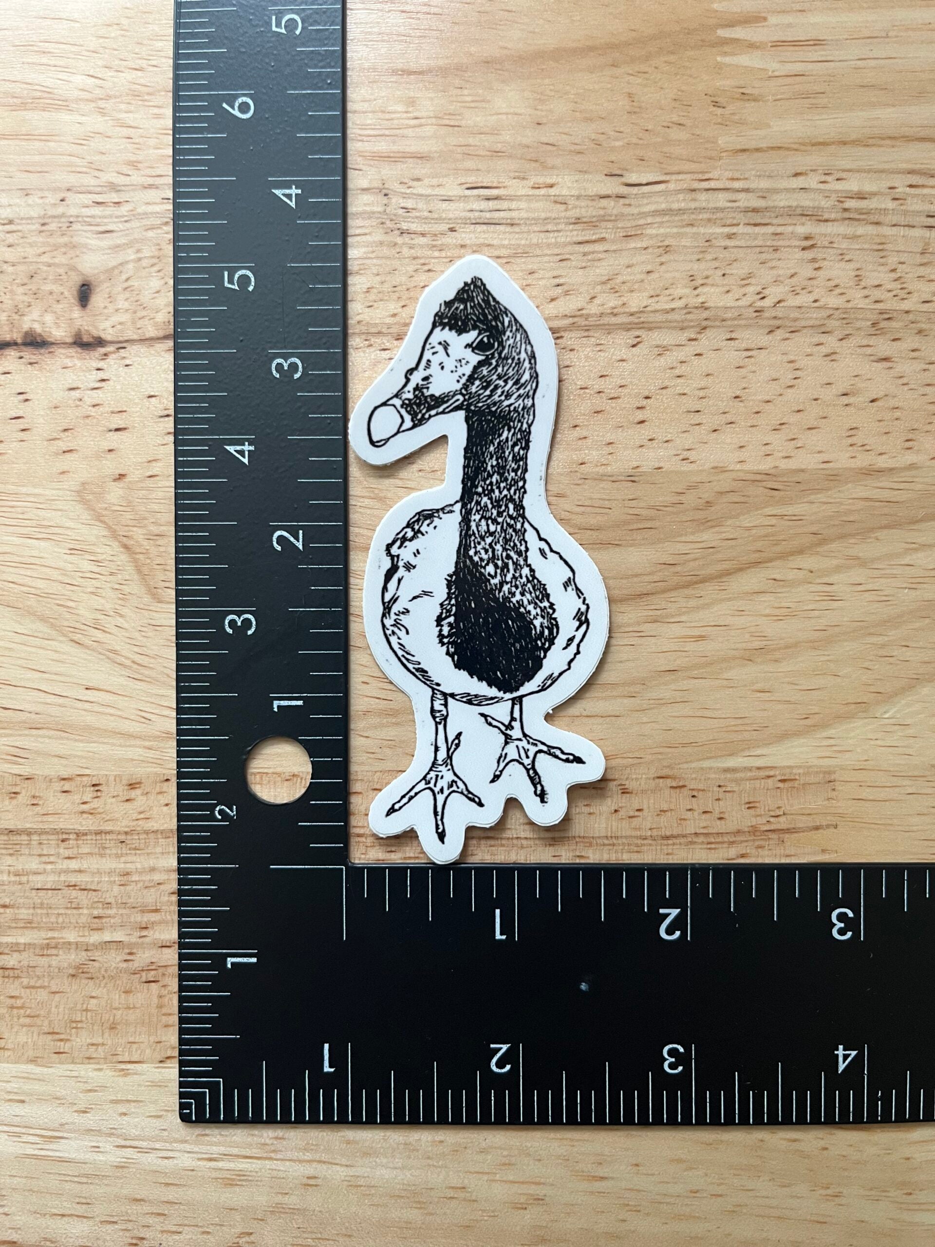 Magpie Goose Sticker - weatherproof adhesive, UV protective laminate