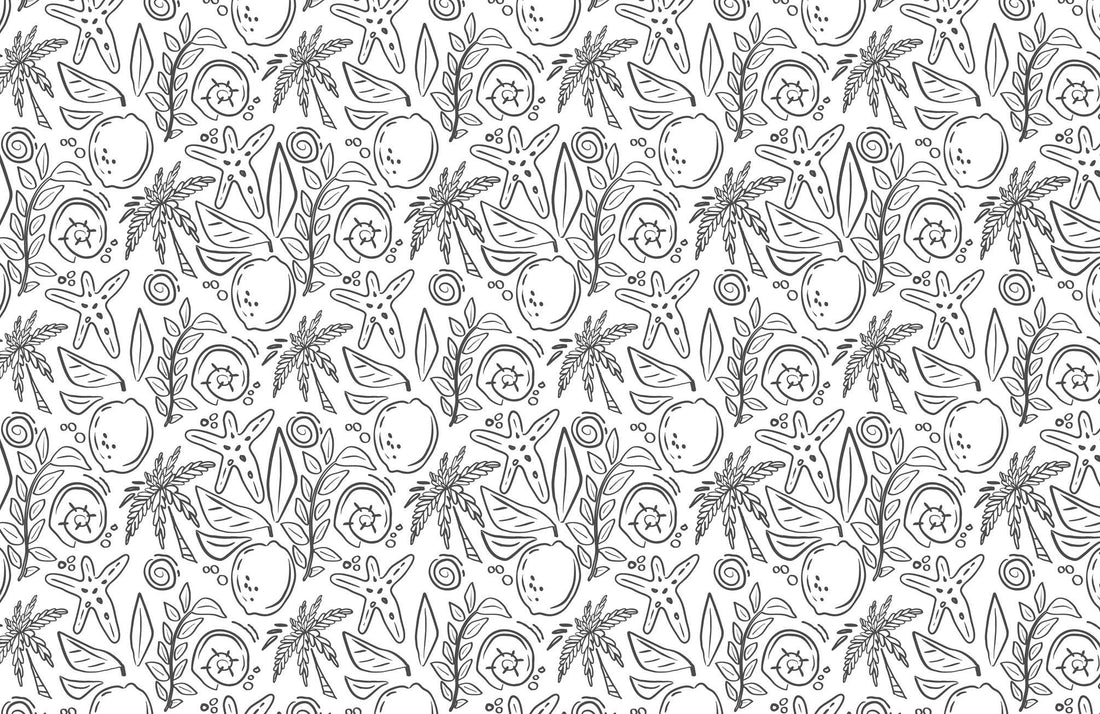 The Mediterranean Coloring Book