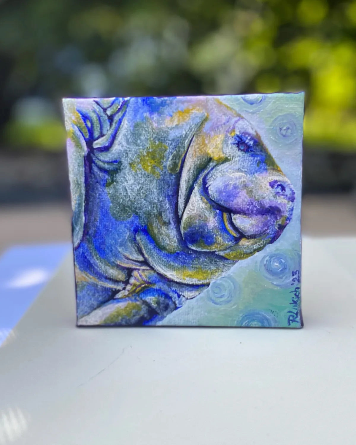 Mini-Manatee in Mulberry