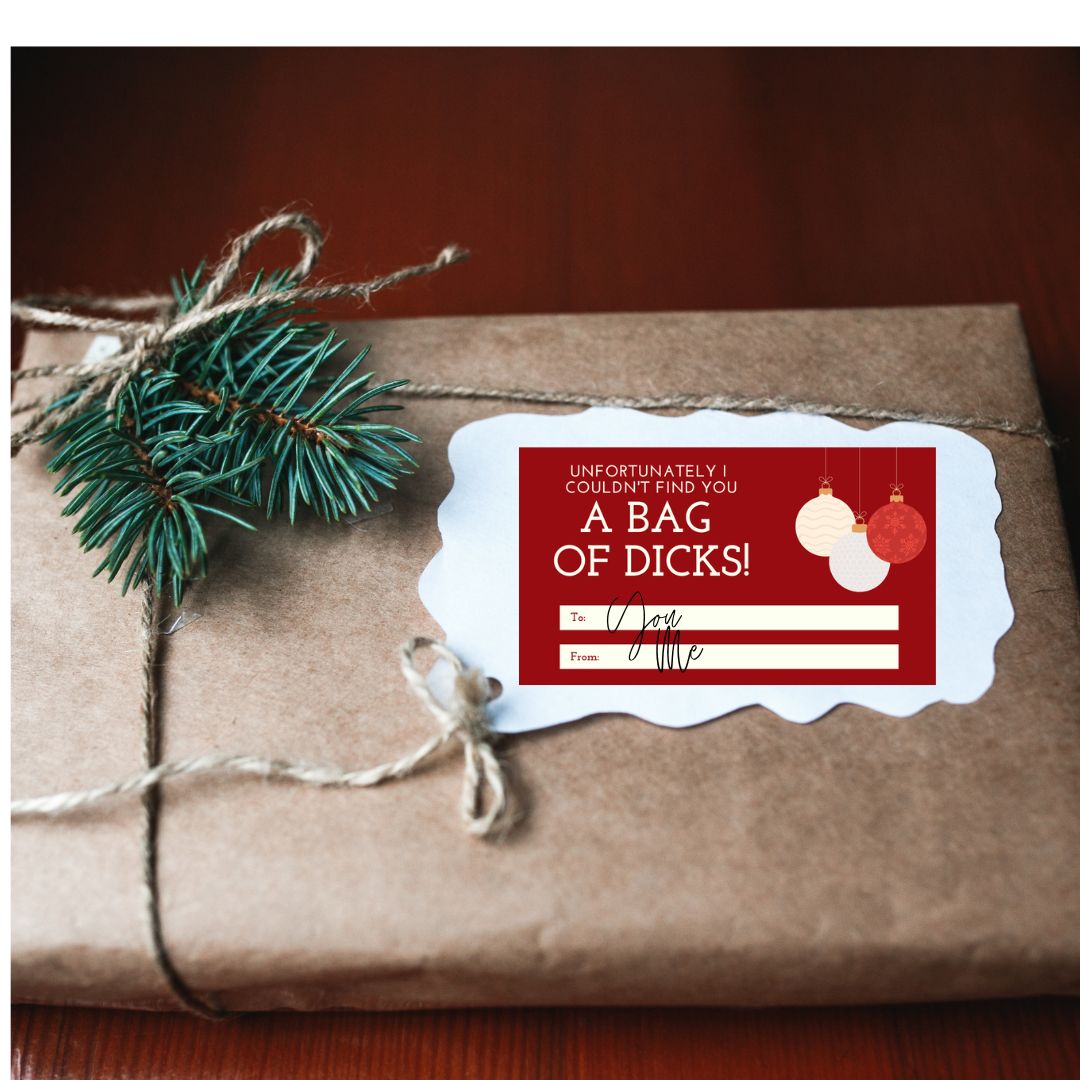 Printable Christmas Present Gift Tags Funny Inappropriate Snarky PDF