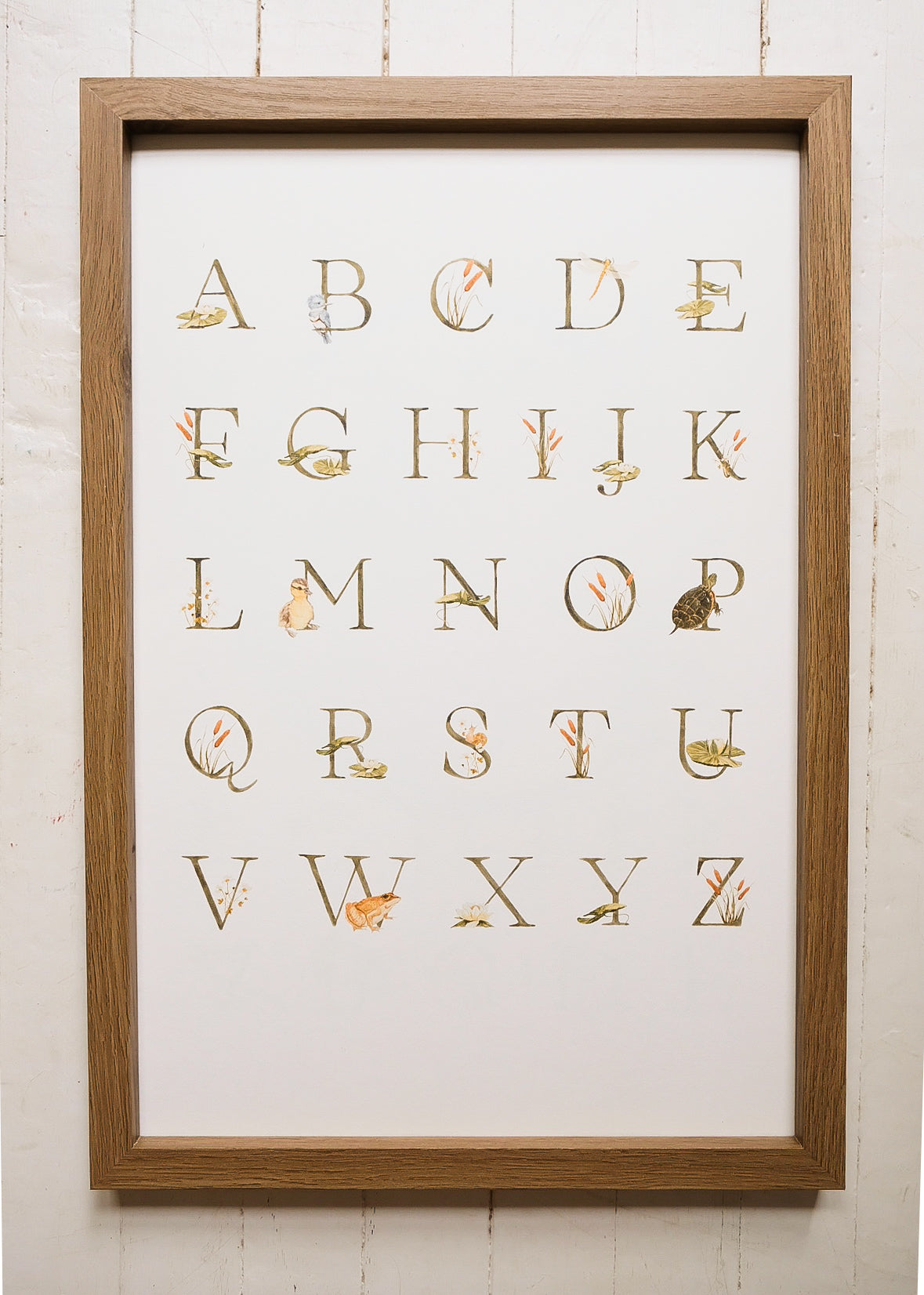 Pond Alphabet