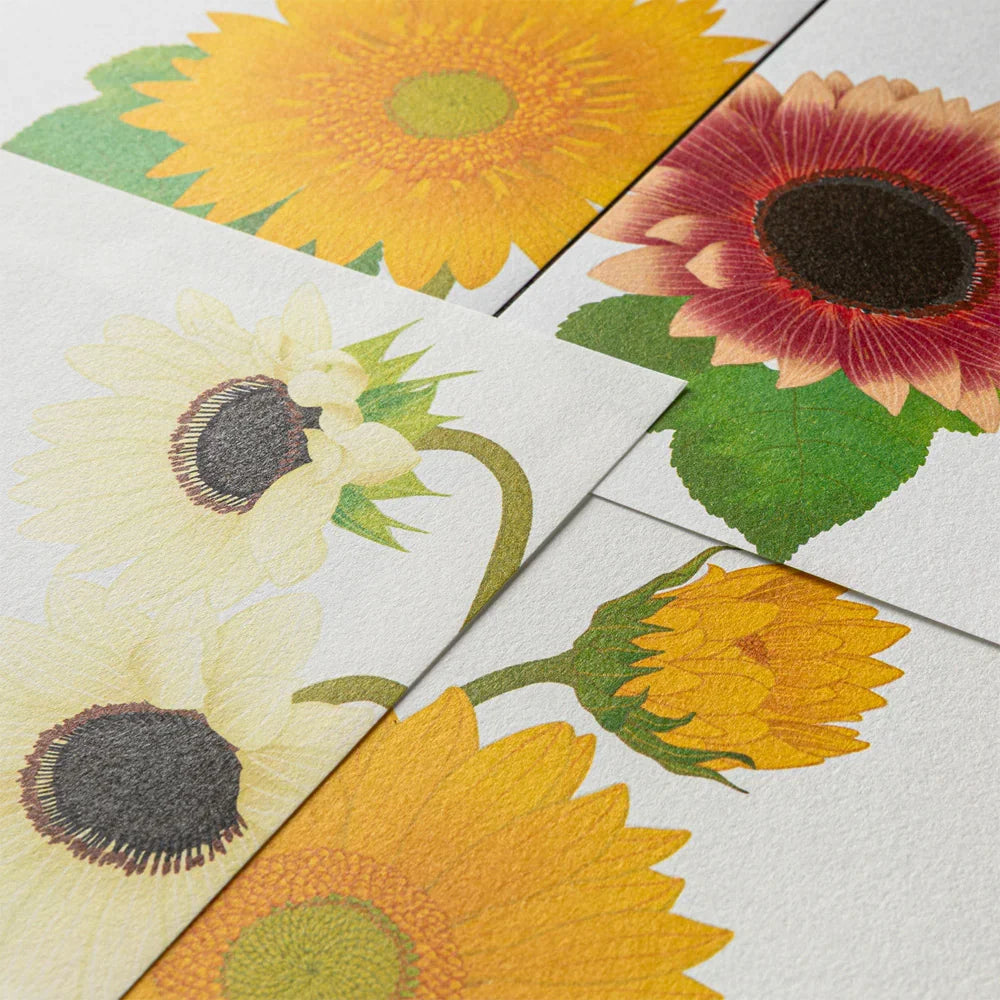 Sunflower Letterpad and Envelopes