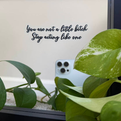 You are not a little bitch Stop acting like one - Motivational Mirror Cling Reusable Window Decal