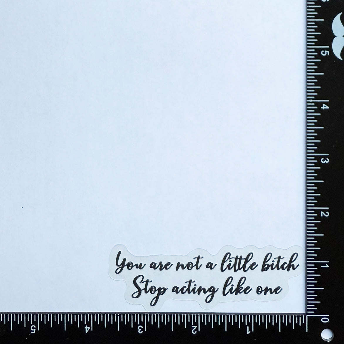 You are not a little bitch Stop acting like one - Motivational Mirror Cling Reusable Window Decal