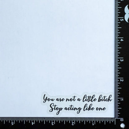 You are not a little bitch Stop acting like one - Motivational Mirror Cling Reusable Window Decal