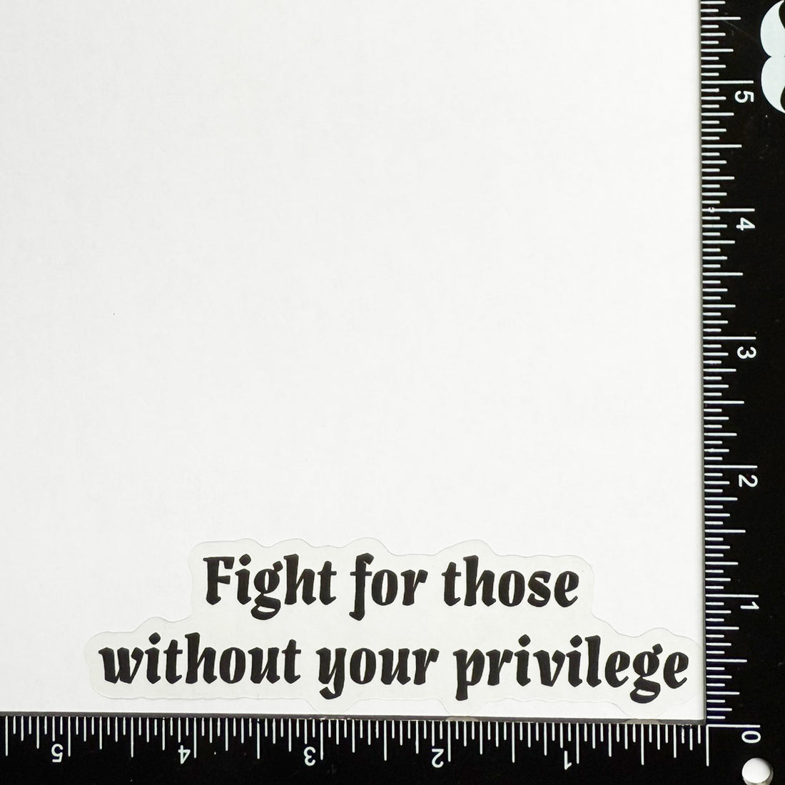 Fight for those without your privilege - Motivational Mirror Cling Reusable Window Decal