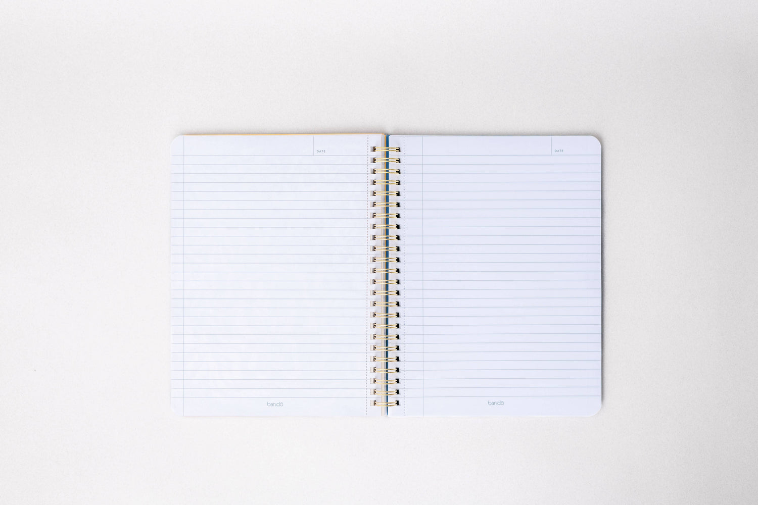 Rough Draft Notebook, Tulips