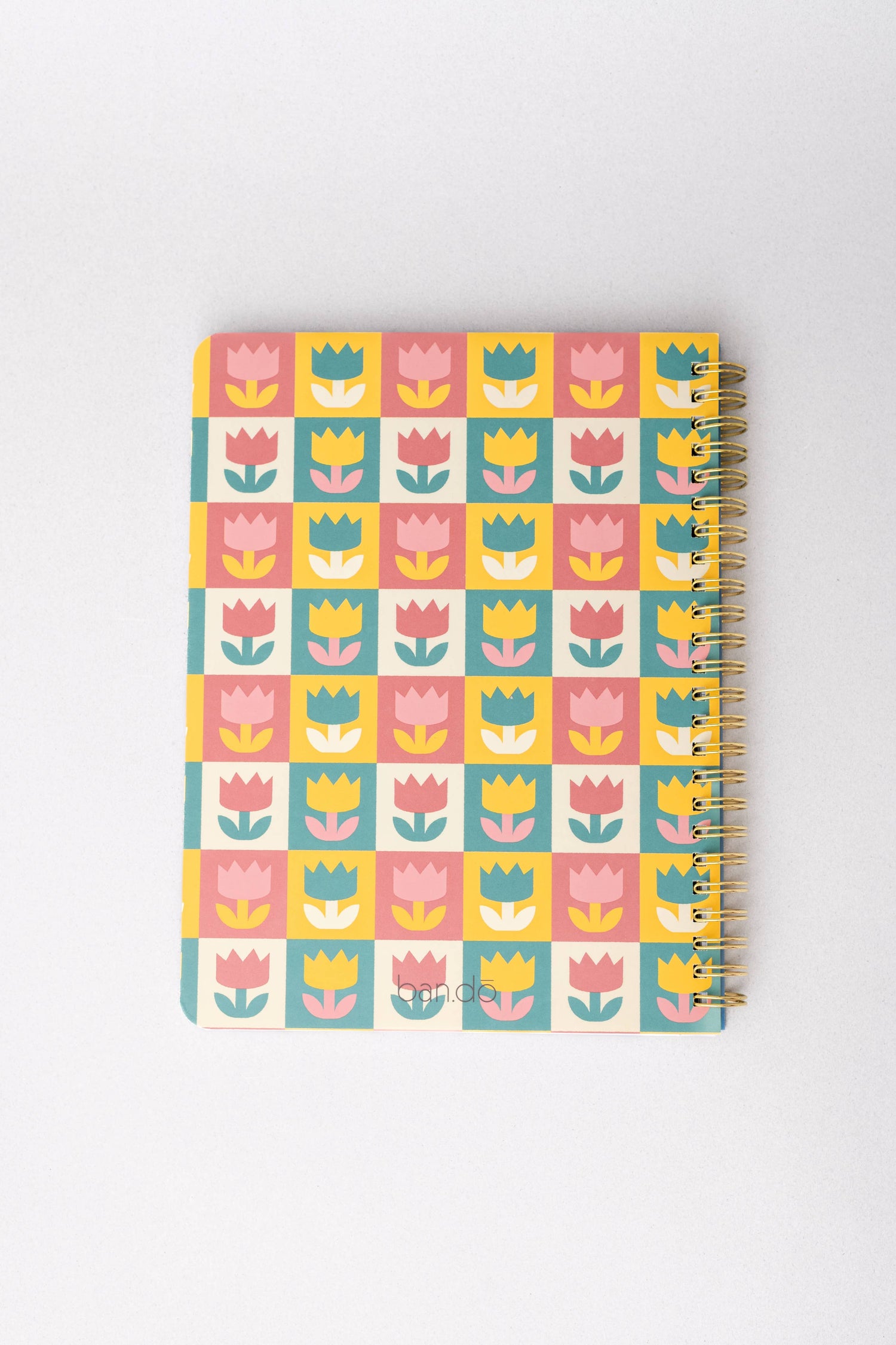 Rough Draft Notebook, Tulips