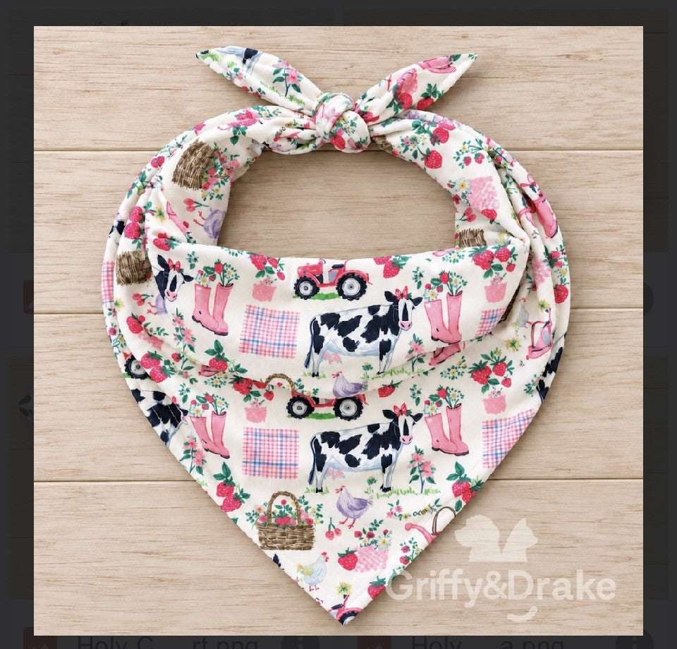 The Classic Bandana Collection in Multiple Patterns &amp; Sizes