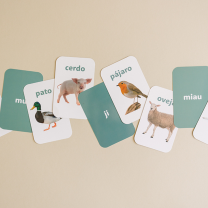 Spanish Flashcards