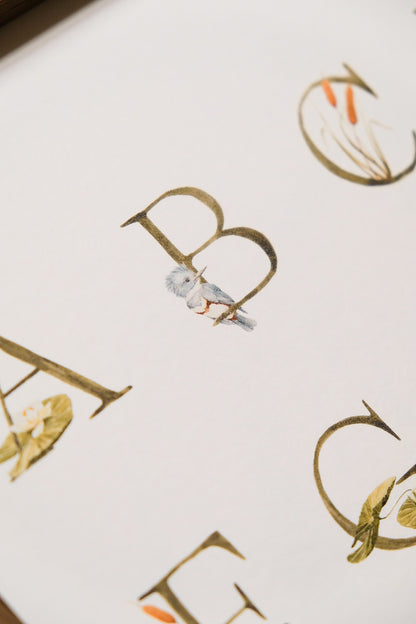 Pond Alphabet