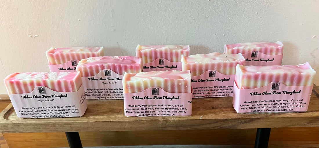 Raspberry Vanilla Goatmilk Soap