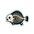 Fish skeleton illustration on a white background