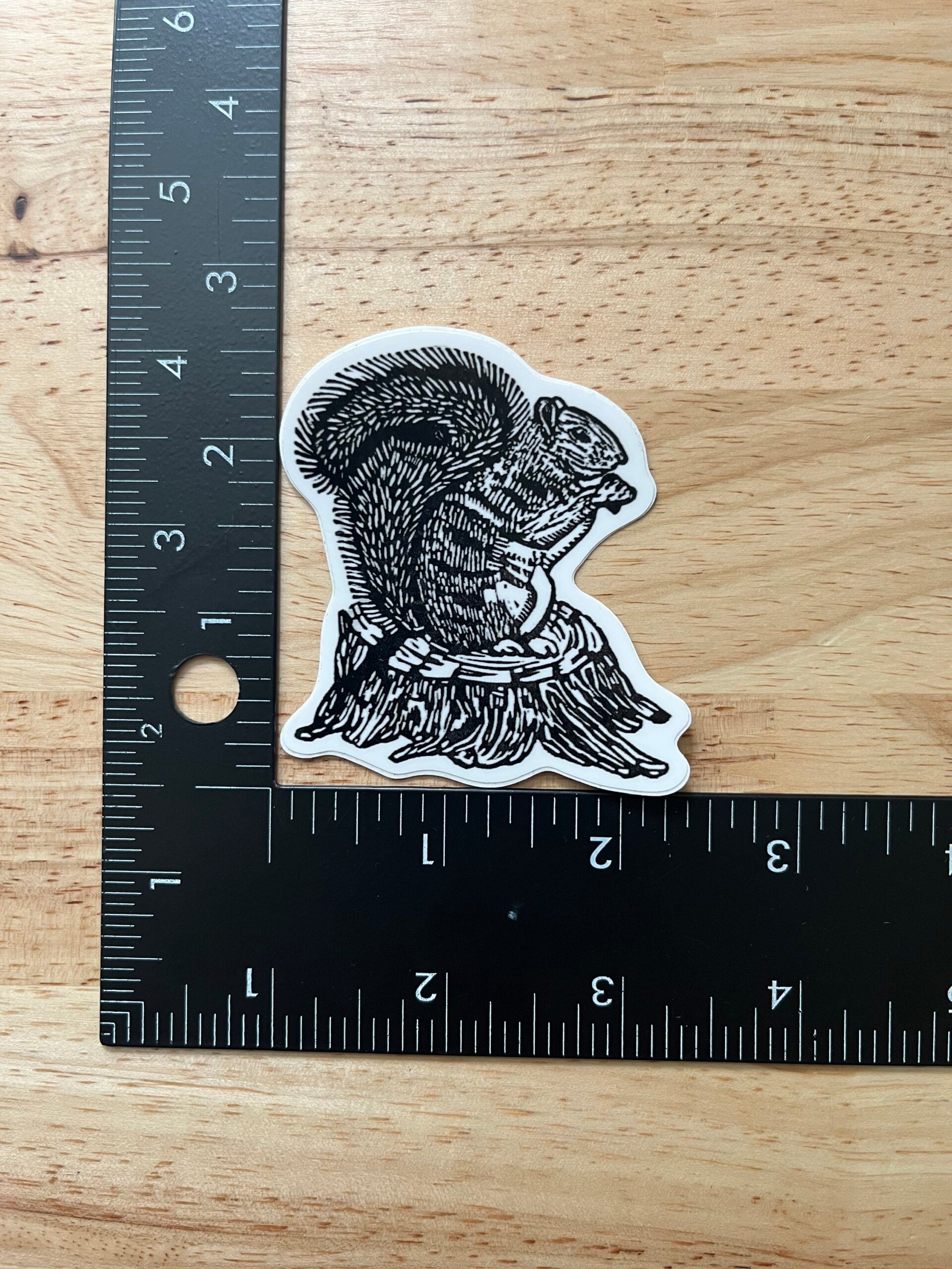 Squirrel Sticker - weatherproof adhesive, UV protective laminate