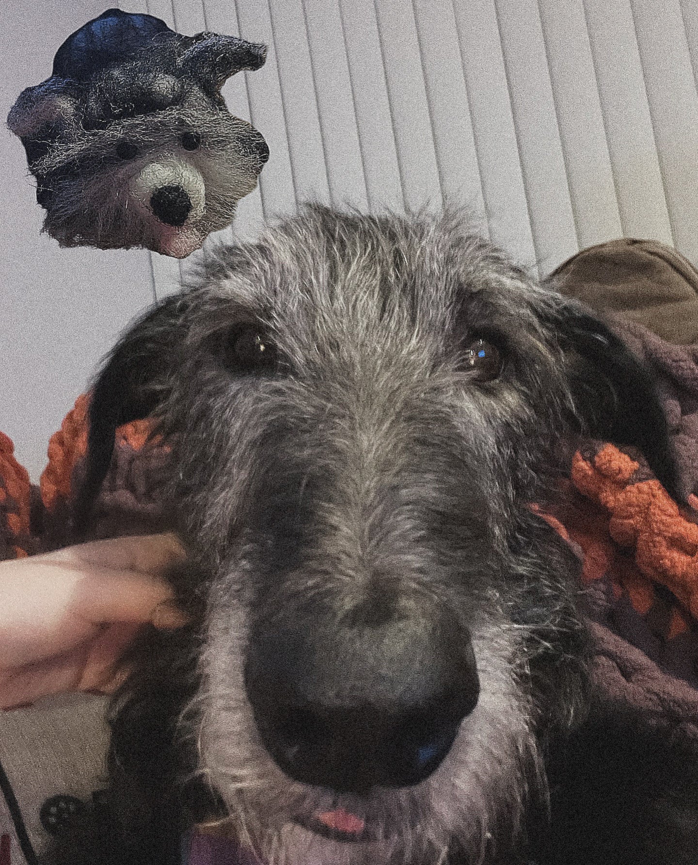 Personalize Needle Felted Pet