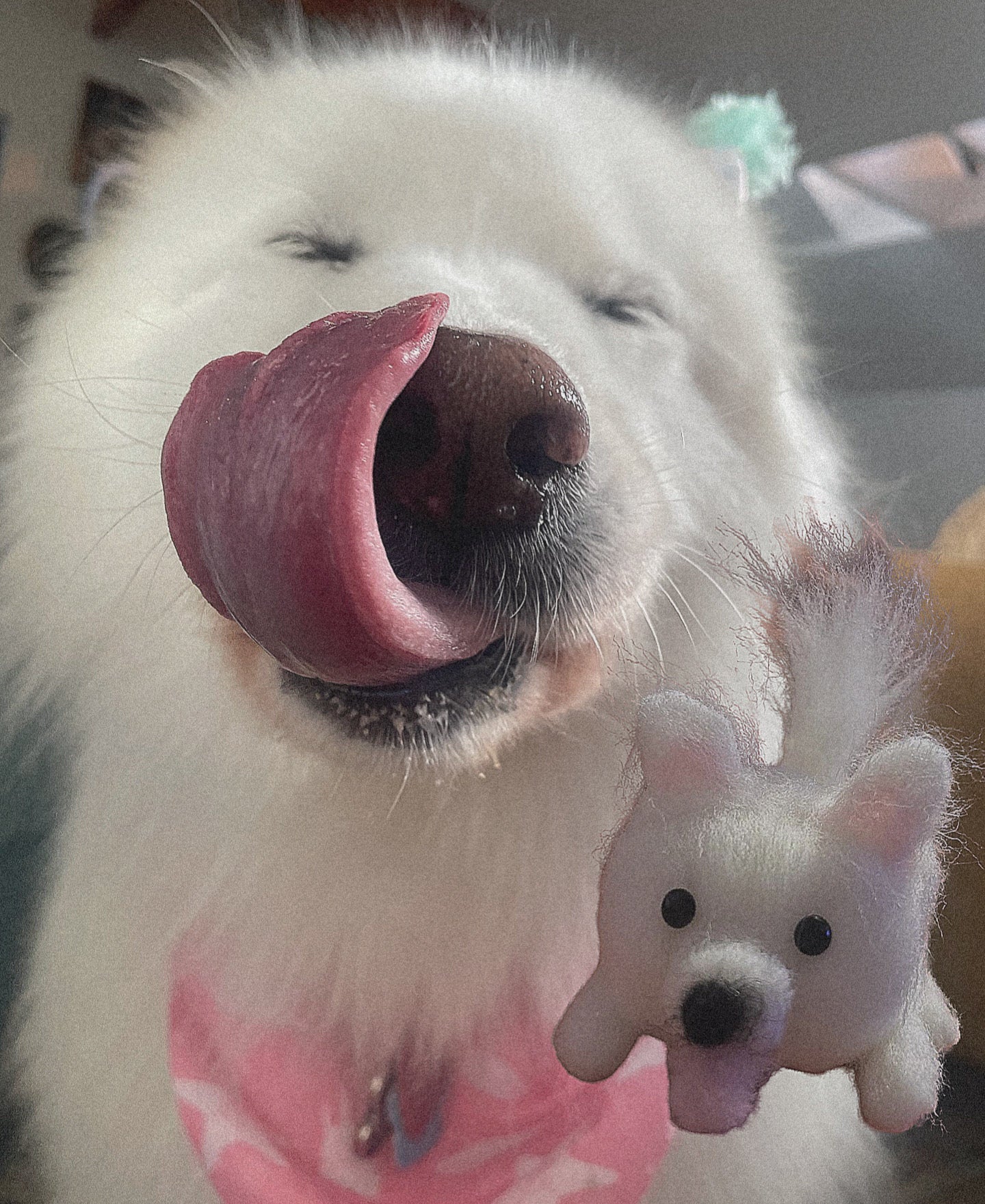 Personalize Needle Felted Pet