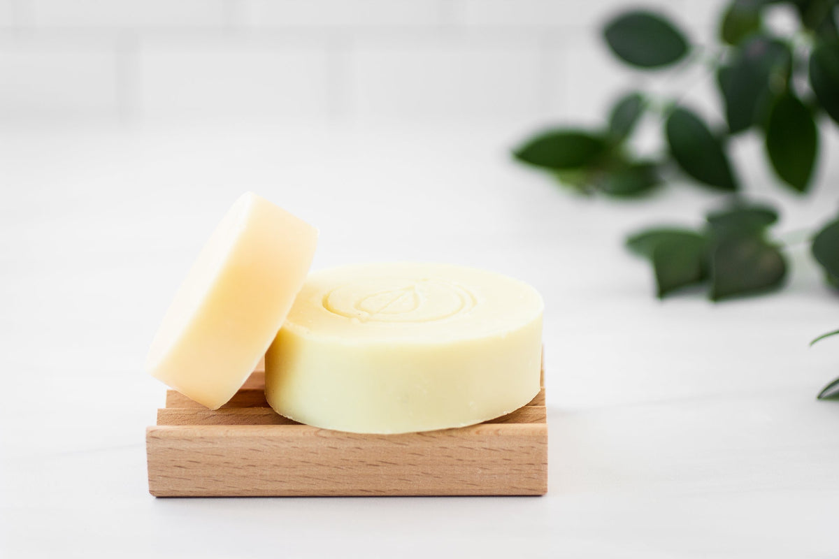 A Drop in the Ocean Tacoma Zero Waste Sustainable Living Shop Shampoo and Conditioner Bar Bundle - Curly Hair