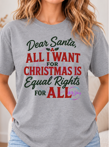Dear Santa, All I Want for Christmas Is Equal Rights for All Shirt | Progressive Christmas Tee