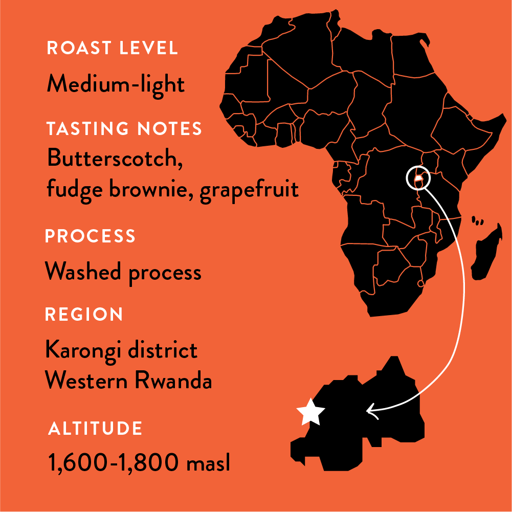 A graphic showing the details of this single origin coffee including the medium-light roast, tasting notes, washed process, region in Rwanda, and altitude