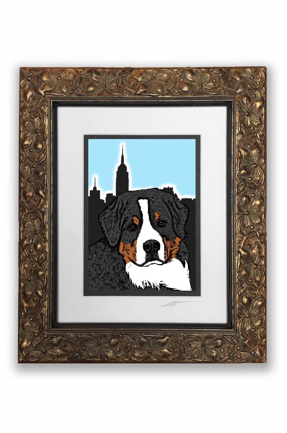 Bernese Pupart Portrait