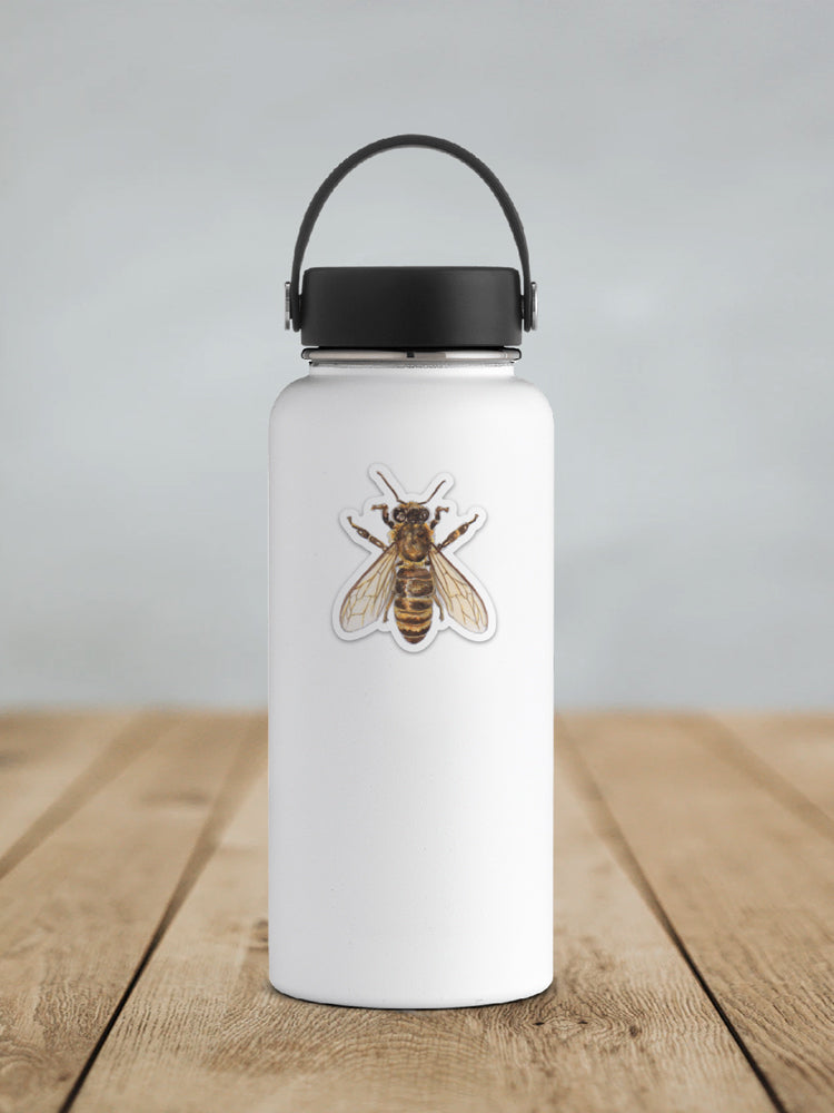 Honey Bee Sticker