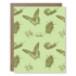 Greeting card with insect illustrations on a light green background